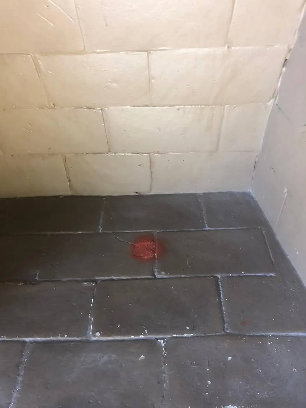 A firebox with light-colored firebrick walls and a dark tile floor.