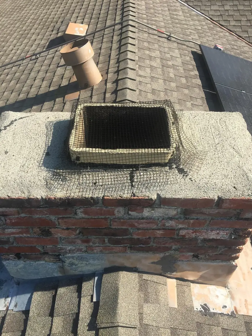 A square mesh cap over the flue on a concrete crown, on a brick chimney rising through a shingle roof.